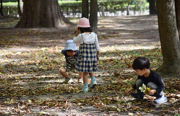 勝山公園の写真を紹介しています