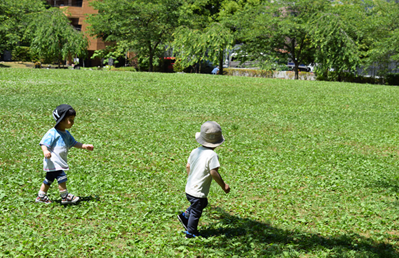 錦町公園での活動の様子写真を紹介しています
