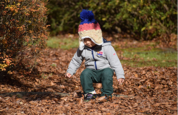 落ち葉遊びの様子写真を紹介しています